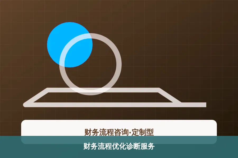 财务流程优化诊断服务
