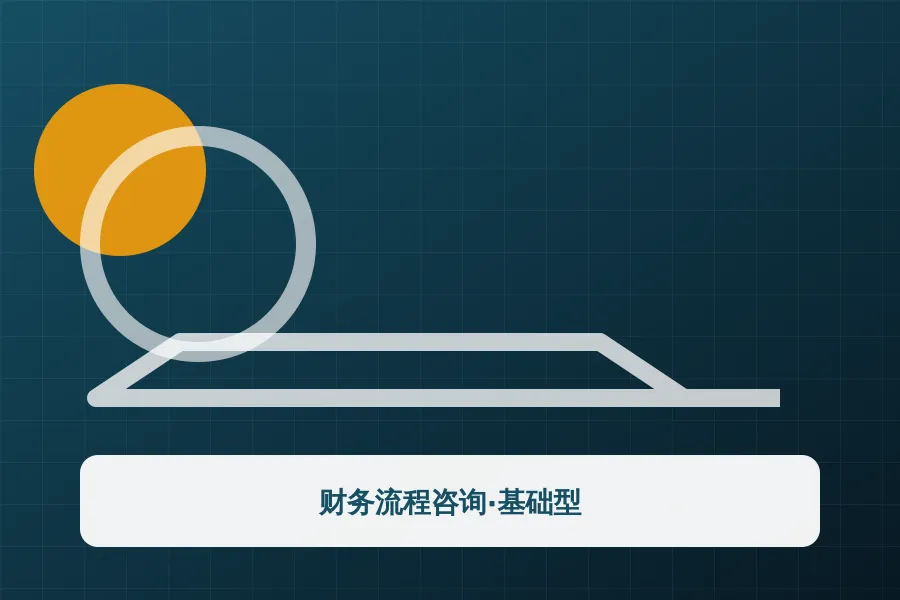 财务流程咨询·基础型