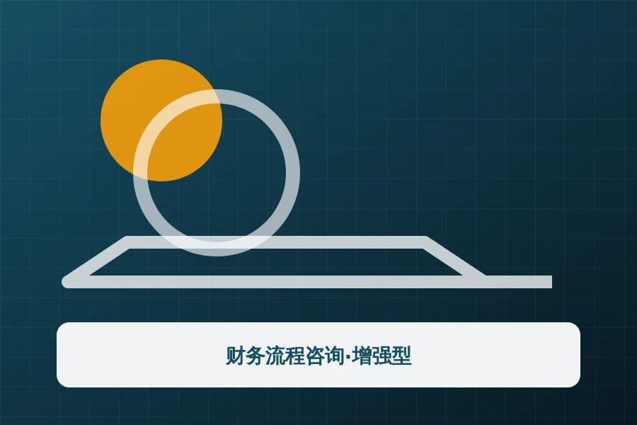 财务流程咨询·增强型