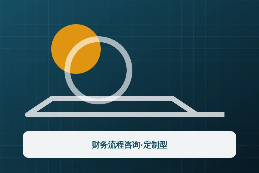 财务流程咨询·定制型